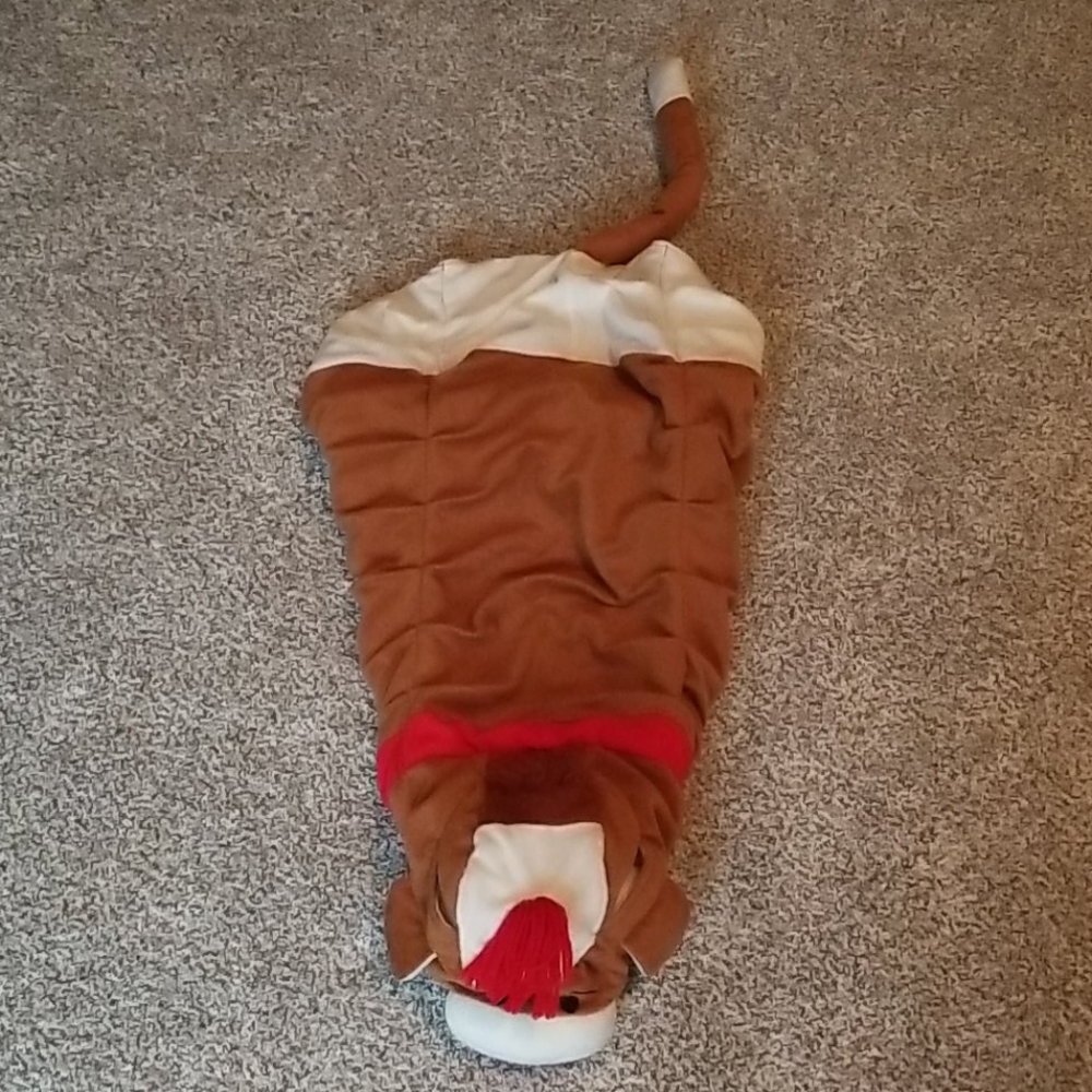 Dog costume